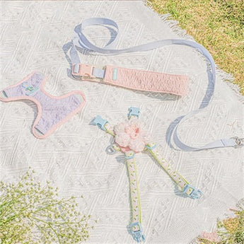 FurryTail- Cat Carrier, Harness & Leash