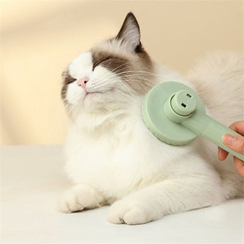 FurryTail- Cat Grooming