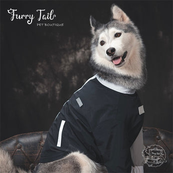 Pet Large Dog Windproof Waterproof Outdoor Coat Jacket Dog Clothes