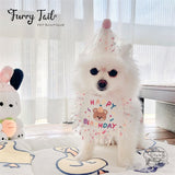 Mini Bear Pet Dog Cat Birthday Bandana Outfit Bib Set With Party Hat