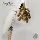 Pet Large Bird Parrot Nut Cruncher Pepper Wood Bite Chew Toy