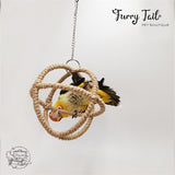 Pet Bird Parrot Playing Toy Stand Hanging Rope Swing Ring Ball