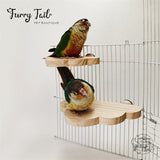 Cloud shape Pet Bird Parrot Chinchilla Wood Perch Stand Toy Platform