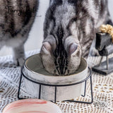 Marbled Pattern Pet Dog Cat Ceramic Bowl with Iron Rack