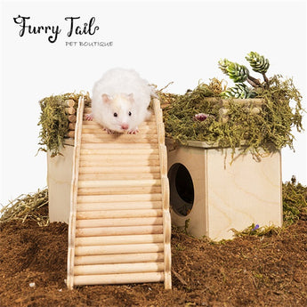 Cloud Shape Small Pet Hamster Wooden Ladder Bridge Climbing Toy