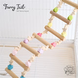 Rainbow Pet Bird Parrot Playing Toy Wooden Stand Climbing Ladder