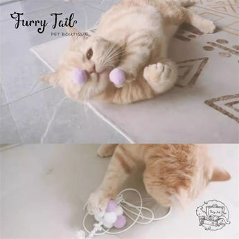 Violet Cat Interactive Play Toy Wand Teaser Rod 6Pcs Set