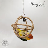 Pet Bird Parrot Playing Toy Stand Hanging Rope Swing Ring Ball