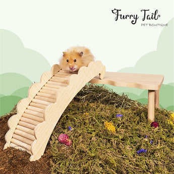 Cloud Shape Small Pet Hamster Wooden Ladder Bridge Climbing Toy