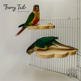 Cloud shape Pet Bird Parrot Chinchilla Wood Perch Stand Toy Platform