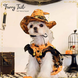 Halloween Pumpkin Witch Cute Pet Princess Dress Pet Dog Cat Dress