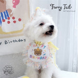 Mini Bear Pet Dog Cat Birthday Bandana Outfit Bib Set With Party Hat