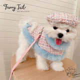 Chanel Style Knitted Cloak Stylish Cape Harness & Leash With Beret Set