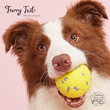 FOFOS Popcorn Dog Interactive Training Bounce Pet Toy Series