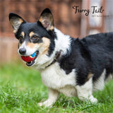 GIGWI Interactive Pet Toys High Bouncy Squeaky Tennis balls 3PCS