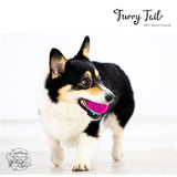 GIGWI Interactive Pet Toys High Bouncy Squeaky Tennis balls 3PCS