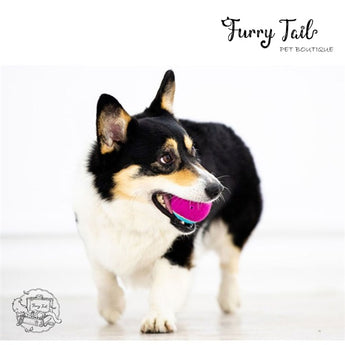 GIGWI Interactive Pet Toys High Bouncy Squeaky Tennis balls 3PCS