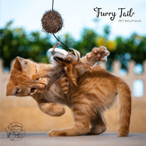 GIGWI Interactive Cat Feather Teaser Wand Toy TPR handle