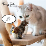 GIGWI Melody Chaser Interaction Simulation Real Chirping Bird Toy