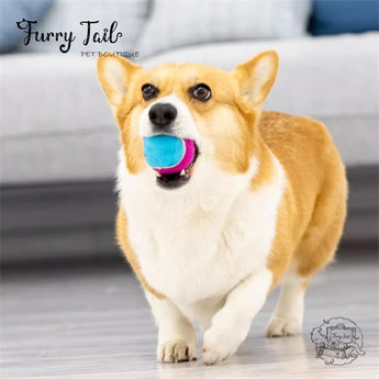 GIGWI Interactive Pet Toys High Bouncy Squeaky Tennis balls 3PCS