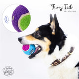 GIGWI Interactive Pet Toys High Bouncy Squeaky Tennis balls 3PCS