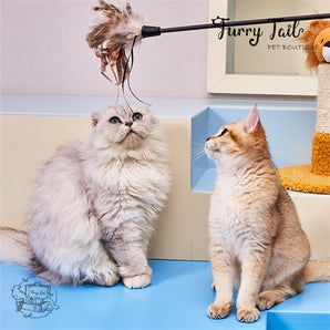 GIGWI Interactive Cat Feather Teaser Wand Toy TPR handle