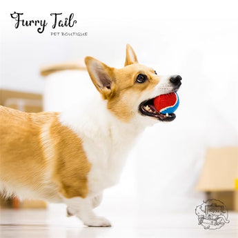 GIGWI Interactive Pet Toys High Bouncy Squeaky Tennis balls 3PCS