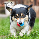 GIGWI Interactive Pet Toys High Bouncy Squeaky Tennis balls 3PCS