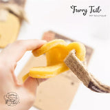 GIGWI Gum Gum Chewing Toy Teething Treat with Hemp Rope