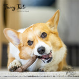 GIGWI Wooden Antler Dog Chew Toy