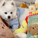 Pet Dog Cat Interactive Training Snuffle Mat Sniff Book Puzzle Toy