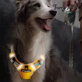 Tuffhound Lightweight Night Glow Large Dog Harness & Leash Set