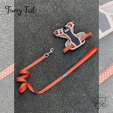 Tuffhound Lightweight Night Glow Large Dog Harness & Leash Set