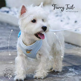 Touchdog Little Monster Pet Dog Cat Harness & Leash With Backpack