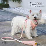 Touchdog Little Monster Pet Dog Cat Harness & Leash With Backpack