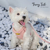 Touchdog Little Monster Pet Dog Cat Harness & Leash With Backpack