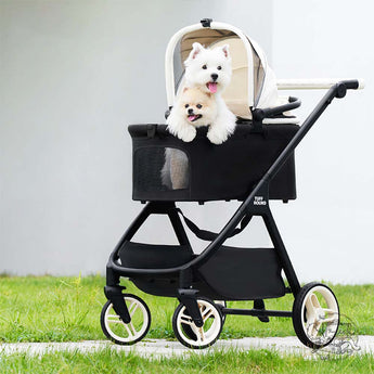 FurryTail- Carrier