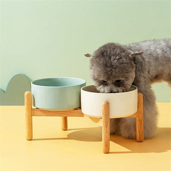 FurryTail- Small Dog Bowl & Watering