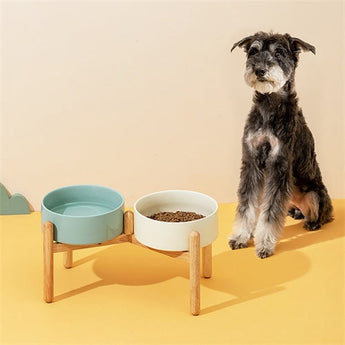 FurryTail- Large Dog Bowl & Watering