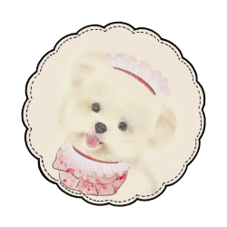 FurryTail- Small Dog