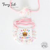 Mini Bear Pet Dog Cat Birthday Bandana Outfit Bib Set With Party Hat
