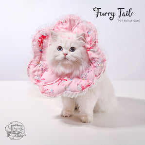 DISNEY Genuine Cat Marie Series Anti-Bite Anti-Lick Dog Cat Pet Elizabeth Ring E-Coolar