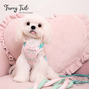 Tuffhound Energizing Lovely Sweet Tea Pet Dog Cat Harness+ Leash