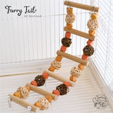 Rainbow Pet Bird Parrot Playing Toy Wooden Stand Climbing Ladder