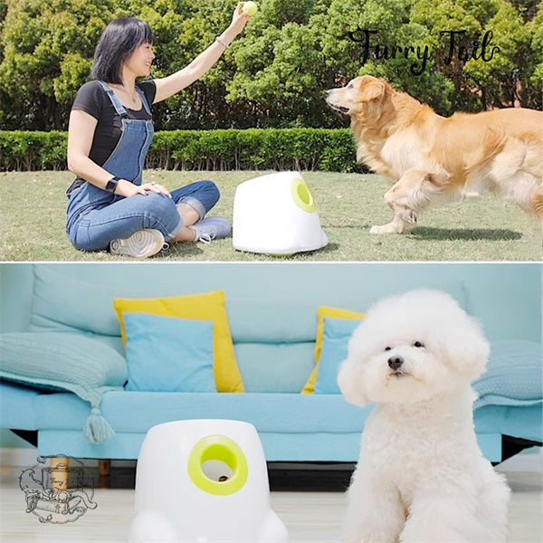 AFP Pet Dog Interactive Hyper fetch Automatic Ball Launcher Toy FurryTail Pet Boutique PTY LTD