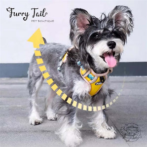 Tuffhound Lightweight Night Glow Large Dog Harness & Leash Set