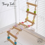 Rainbow Pet Bird Parrot Playing Toy Wooden Stand Climbing Ladder
