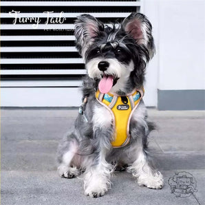 Tuffhound Lightweight Night Glow Large Dog Harness & Leash Set
