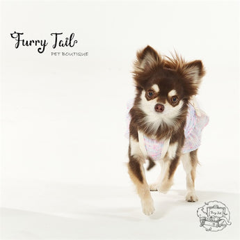 Midsummer Princess Ballet Pet Dress Small Dog Cat Clothes