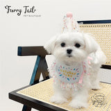 HBD Letters Pet Dog Cat Birthday Bandana Outfit Bib Set With Party Hat